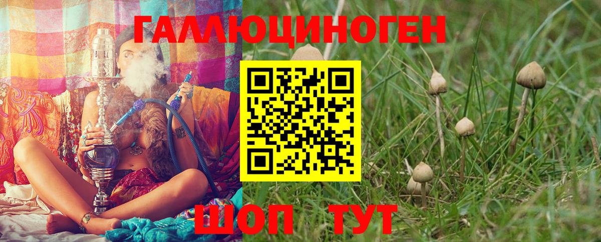 как найти закладки  Галлюциногенные грибы мухоморы  Вход с VPN  Кызыл 